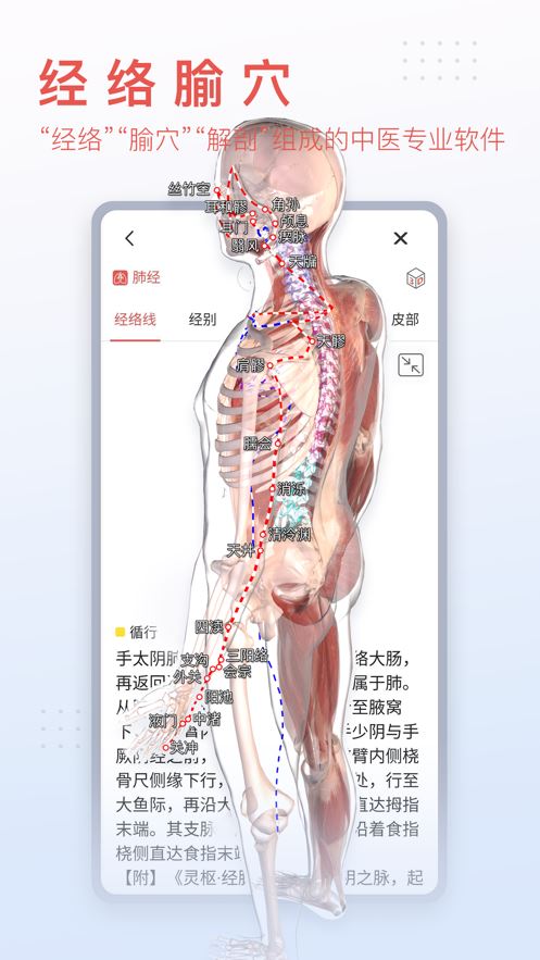 3Dbody解剖学app苹果版