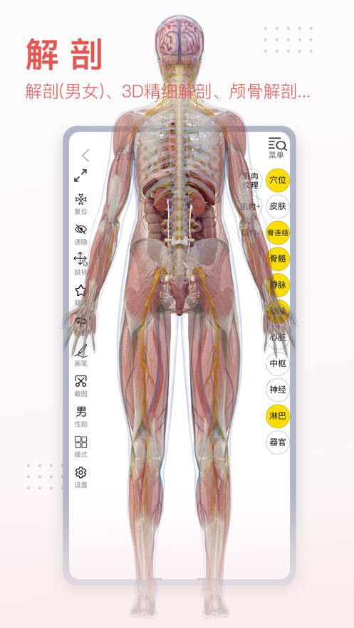 3Dbody解剖学app苹果版