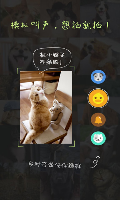 萌宠相机苹果版下载