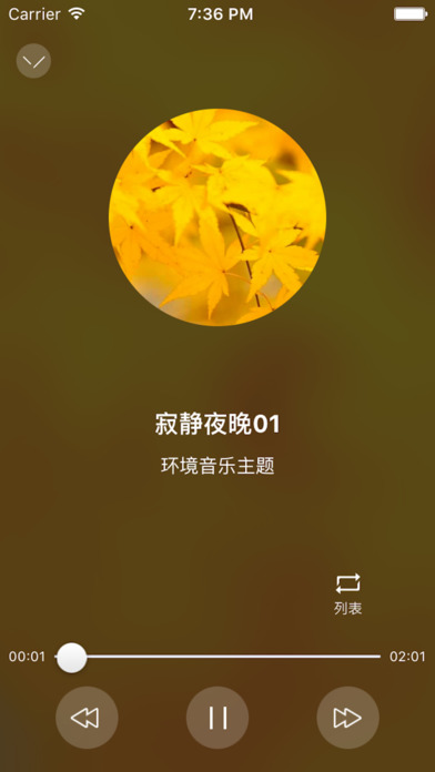 皮皮音乐iOS版下载