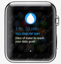 WaterMinder for Apple Watch