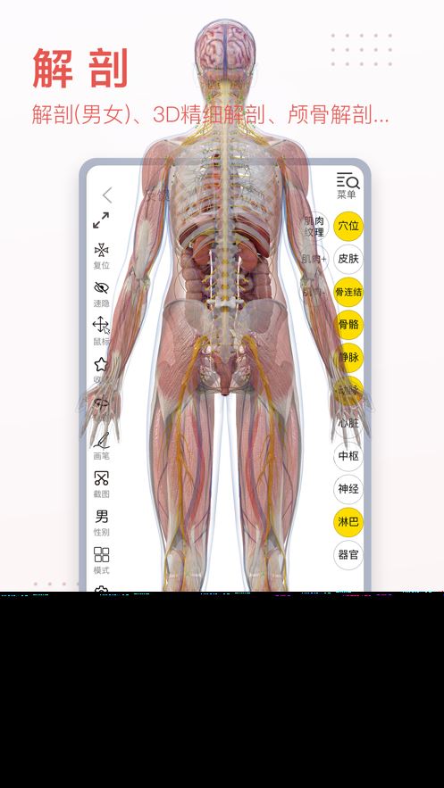 3Dbody解剖app