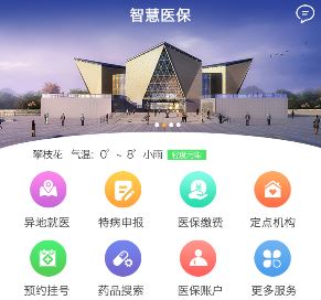 攀枝花智慧医保app