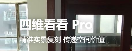 四维看看Pro