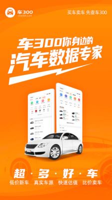 车300个人版