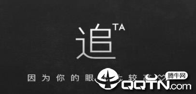 追TA