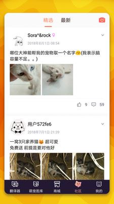 猫语翻译器app