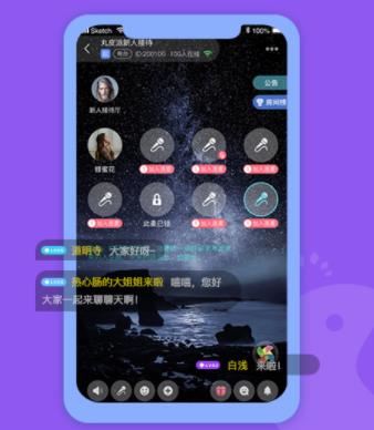 丸皮派app