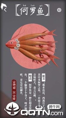 奇幻光影森林app