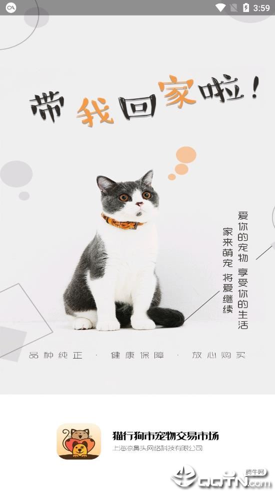 猫行狗市app