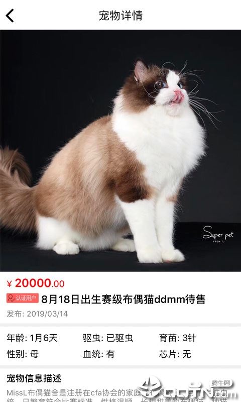 猫行狗市app