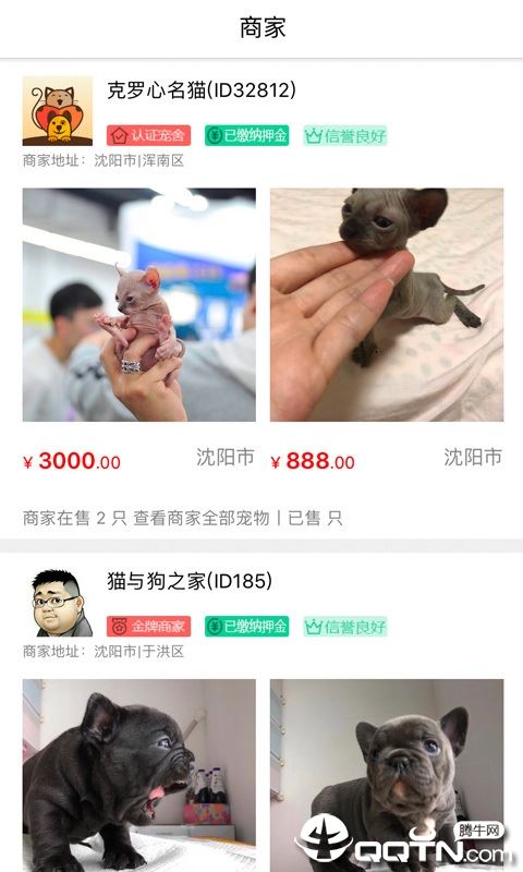 猫行狗市app