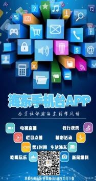 海东手机台app