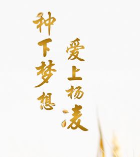 爱杨凌app