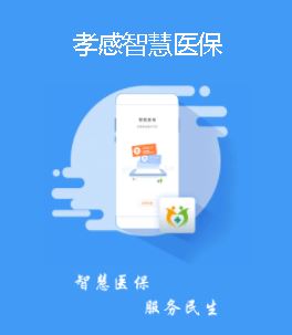 孝感智慧医保app