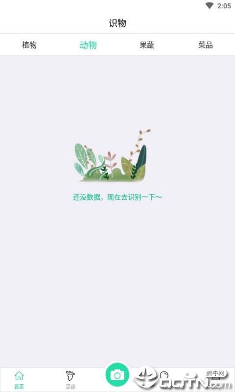 掌上植物网