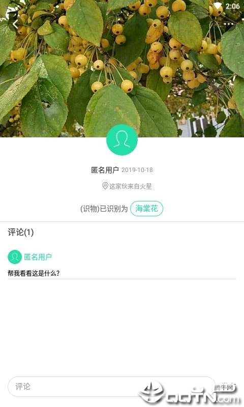 掌上植物网