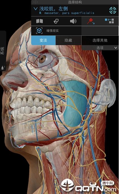 2020人体解剖学图Atlas