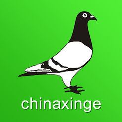 中国信鸽信息网app ios版