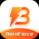 BornForce