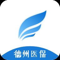 德州医保app