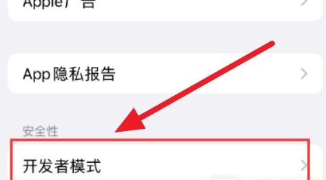 iPhone16ProMax开发者模式在哪