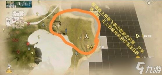 妄想山海大宁党参在哪