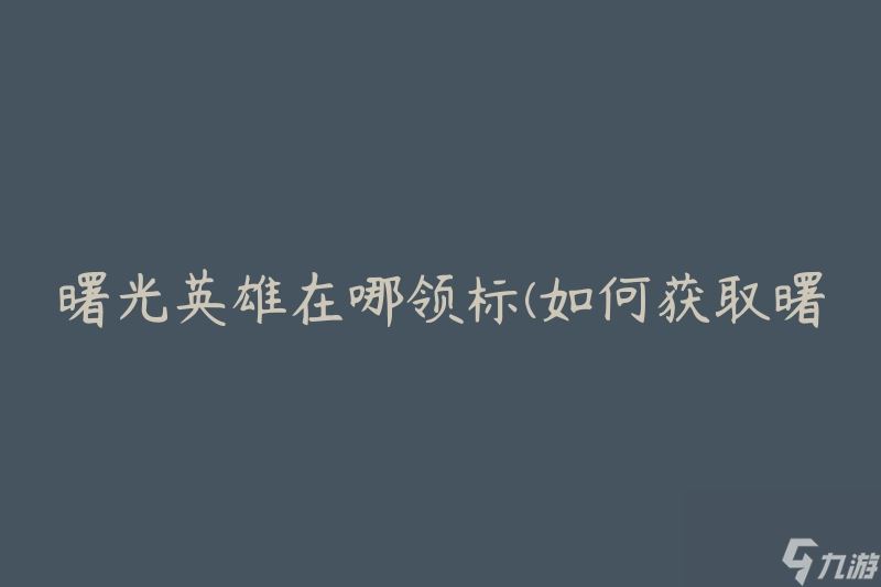 曙光英雄在哪领标(如何获取曙光英雄标识)
