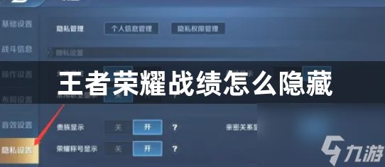 王者荣耀战绩隐藏方法_王者荣耀战绩怎么隐藏