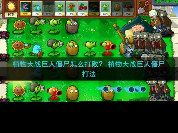 植物大战巨人僵尸怎么打败？ 植物大战巨人僵尸打法