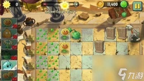 植物大战僵尸金字塔关卡第四关怎么过？