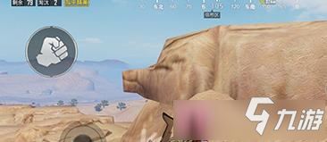 和平精英网红打卡地在哪里 和平精英网红猪地图位置介绍