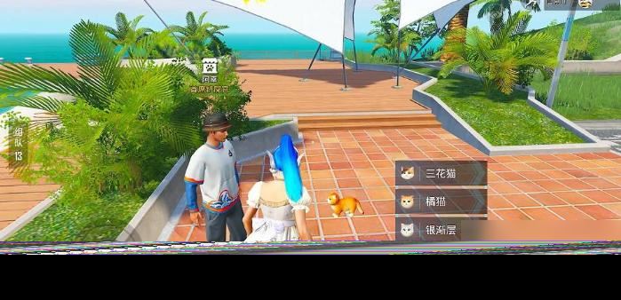 和平精英流浪猫怎么获得？