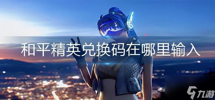 和平精英兑换码在哪里输入