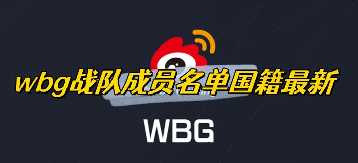 wbg战队成员名单国籍最新
