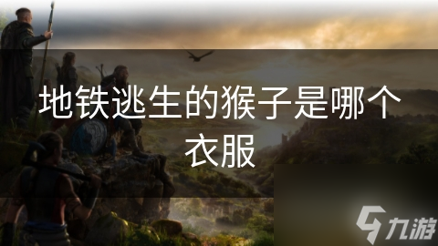 地铁逃生的猴子是哪个衣服