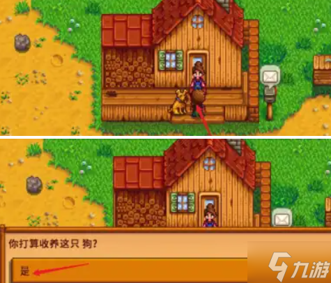 星露谷物语宠物怎么收养-宠物获取攻略