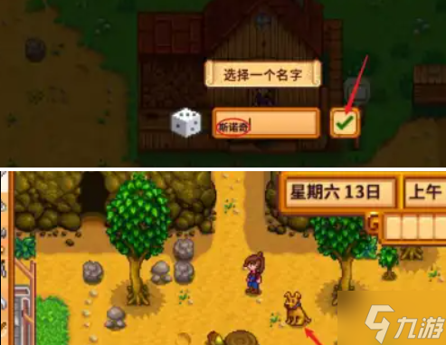 星露谷物语宠物怎么收养-宠物获取攻略