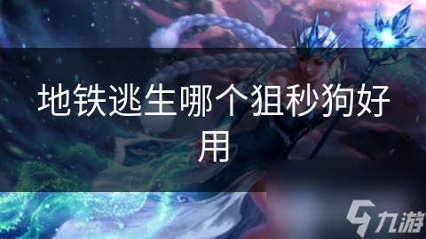 地铁逃生哪个狙秒狗好用