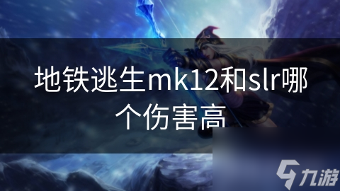 地铁逃生mk12和slr哪个伤害高