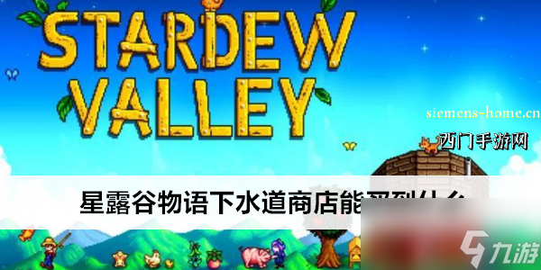 星露谷物语下水道商店能买到什么