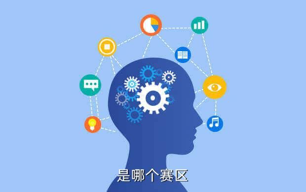 是哪个赛区
