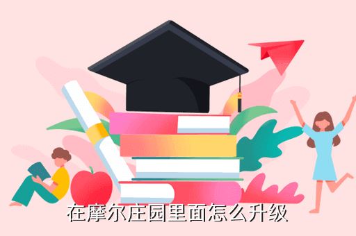在摩尔庄园里面怎么升级