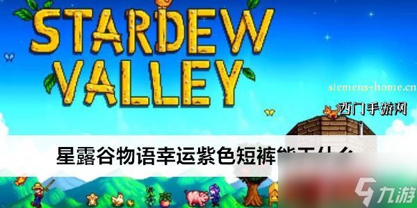 星露谷物语幸运紫色短裤能干什么