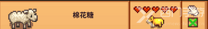星露谷物语金色动物饼干给谁用