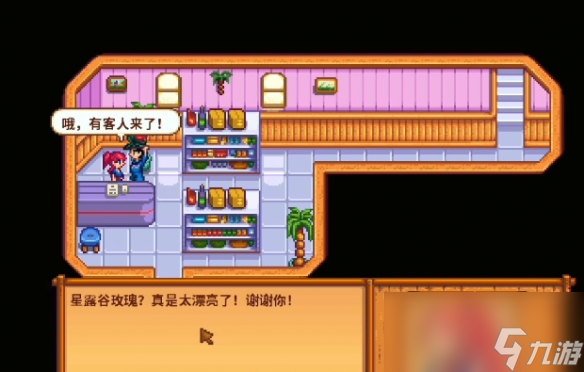 星露谷物语姜岛海盗妻子纪念品任务攻略