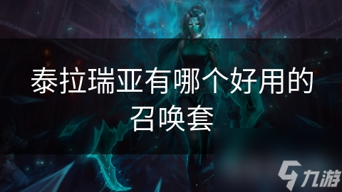 泰拉瑞亚有哪个好用的召唤套