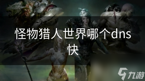 怪物猎人世界哪个dns快