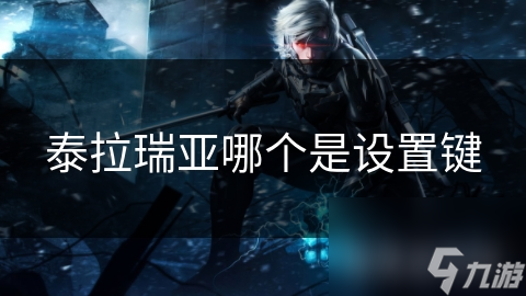 泰拉瑞亚哪个是设置键