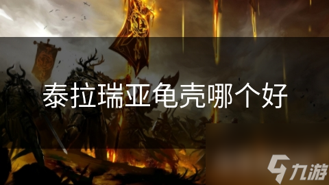 泰拉瑞亚龟壳哪个好